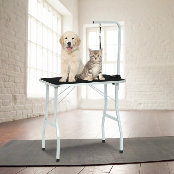 BestPet 30'' H x 19.7'' W x Metal Adjustable and Foldable Folding